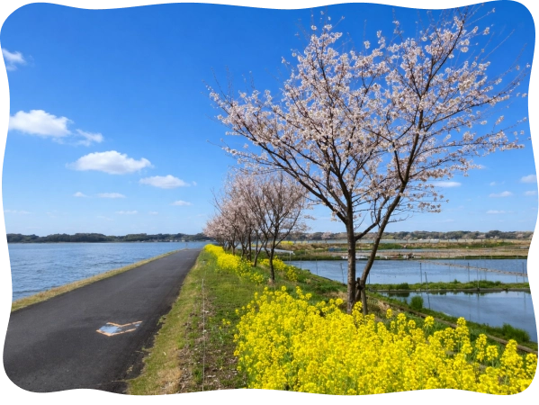 霞ケ浦ののどかな景色
